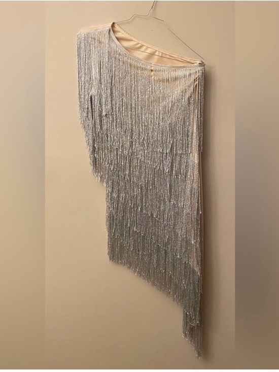 Dresses & Skirts - Silver Fringe Asymmetrical